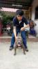 ภาพย่อ