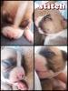 ภาพย่อ