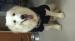 ภาพย่อ