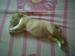 ภาพย่อ