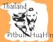 ภาพย่อ