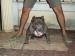 ภาพย่อ