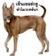 ภาพย่อ