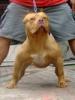 ภาพย่อ