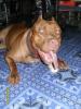 ภาพย่อ