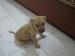 ภาพย่อ