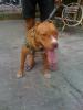 ภาพย่อ